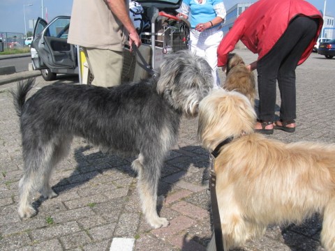 Alba geeft nog wat aanwijzingen