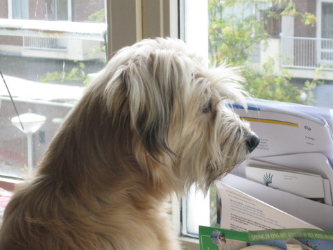 Hxc3xa9 daar loopt iemand met een paraplu