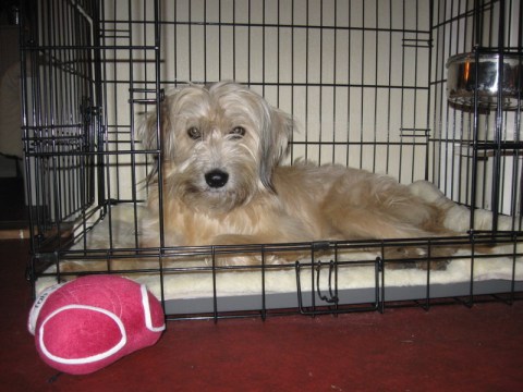 Uitrusten in de bench